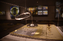 Wasp_exhibition__DSC3415